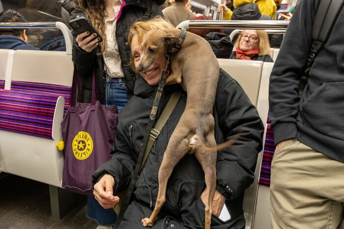 A candid street photo capturing a woman on a subway with a dog perched on her shoulder, part of the URBAN Photo Awards.
