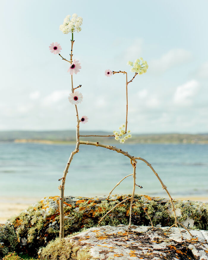 Intricate flower compositions by Jennifer Latour, arranged on a branch, stand on a mossy rock by the sea.