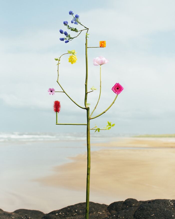 Intricate flower compositions by Jennifer Latour, artfully arranged on a stem, against a sandy beach backdrop.
