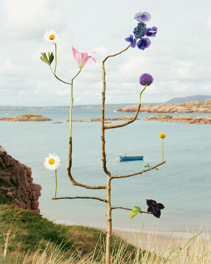 Jennifer Latour's photography shows intricate flower compositions against a coastal landscape, highlighting preserved blooms.