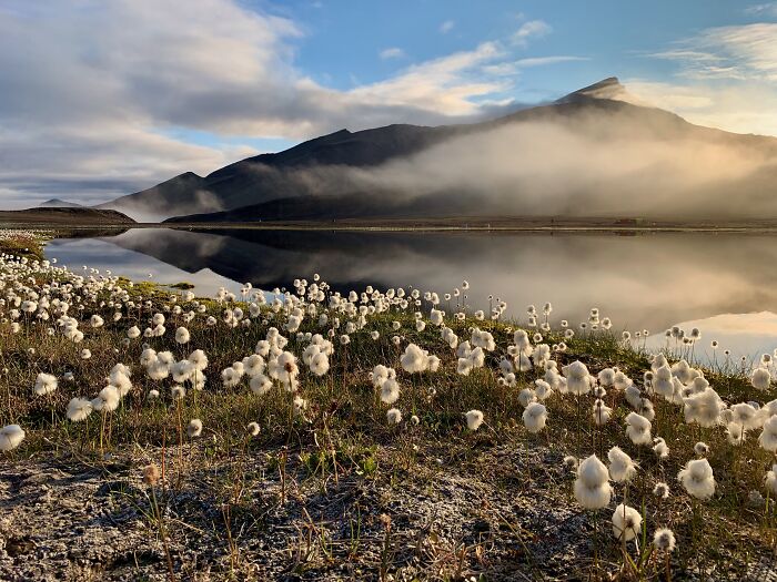 Flora And Fungi, Winner: Anthony Zerafa