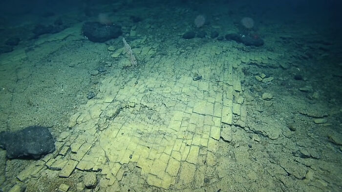 A geological formation resembling a yellow brick road on the seabed, found at the bottom of the ocean.