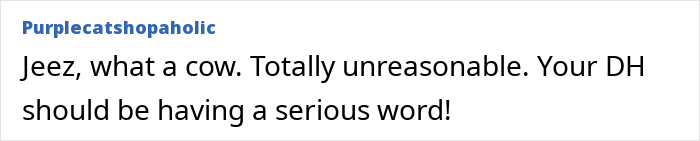 A screenshot showing a comment from Purplecatshopaholic about a MIL finally revealing why shes angry. It says the DH should have a word. A screenshot showing a comment from Purplecatshopaholic about a MIL finally revealing why shes angry. It says the DH should have a word.
