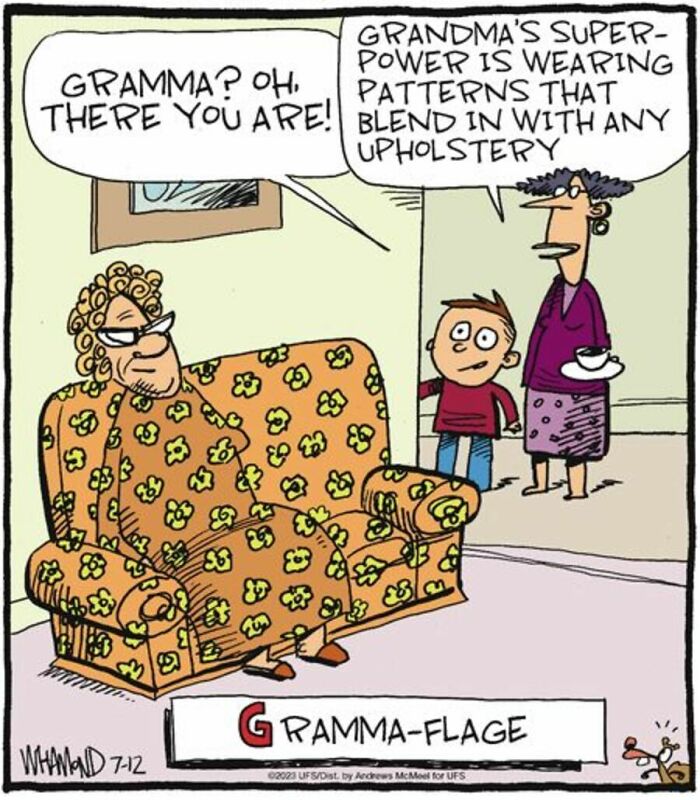 Comic showing grandma blending into flower-patterned upholstery with clever comic humor