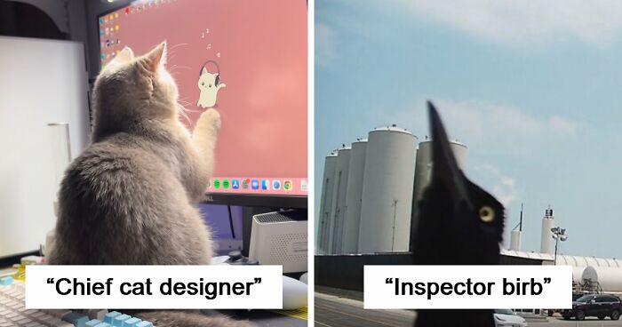 83 Adorable Animals Who Somehow Found Themselves On The Payroll