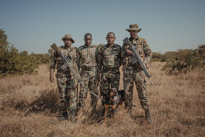 Northern White Rhinos protected by people: four armed guards and a dog stand in a dry, grassy field.