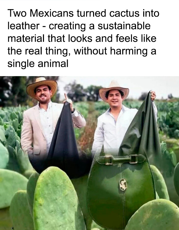An interesting and uplifting post of two men holding cactus leather products in a field of cacti.