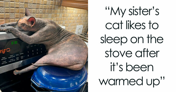79 Animals Whose Derpy Antics Deserve A Spot In The Internet Hall Of Fame (New Pics)