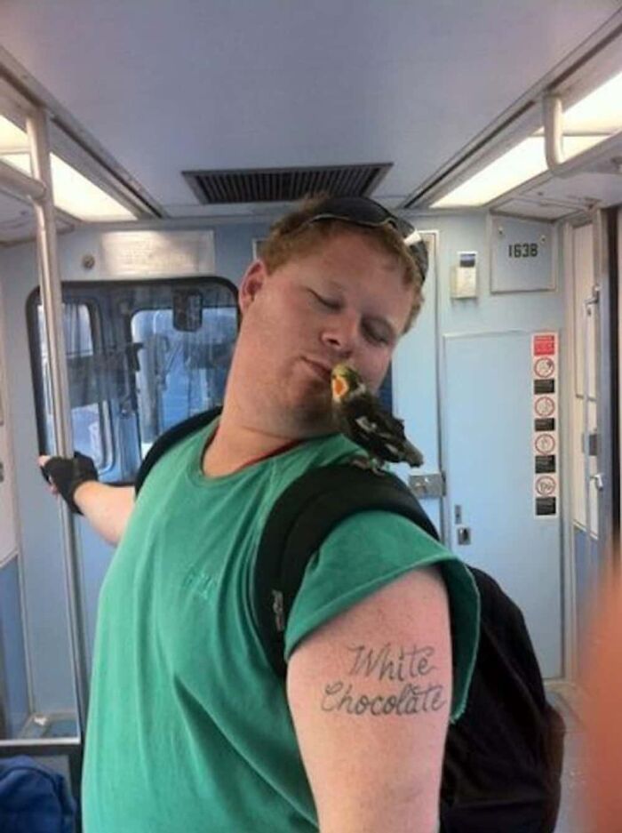 A man on a train with a pet bird on his shoulder, highlighting unique public transport interactions.
