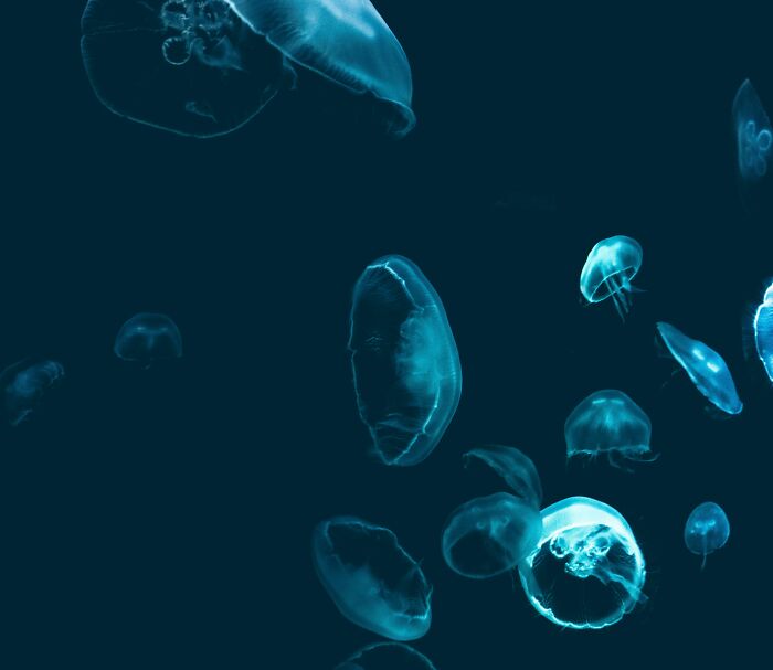 Isolated Tribe Can Swim Underwater For Long Hours, Which Has Developed A "New Mutant Gene" Isolated Tribe Can Swim Underwater For Long Hours, Which Has Developed A "New Mutant Gene"