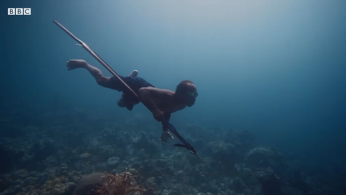 Isolated Tribe Can Swim Underwater For Long Hours, Which Has Developed A "New Mutant Gene" Isolated Tribe Can Swim Underwater For Long Hours, Which Has Developed A "New Mutant Gene"