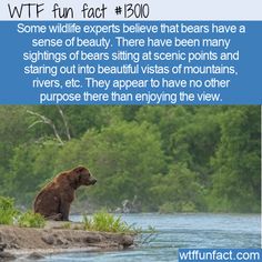 at-beauty-spot-6ab95544c20f4.jpg