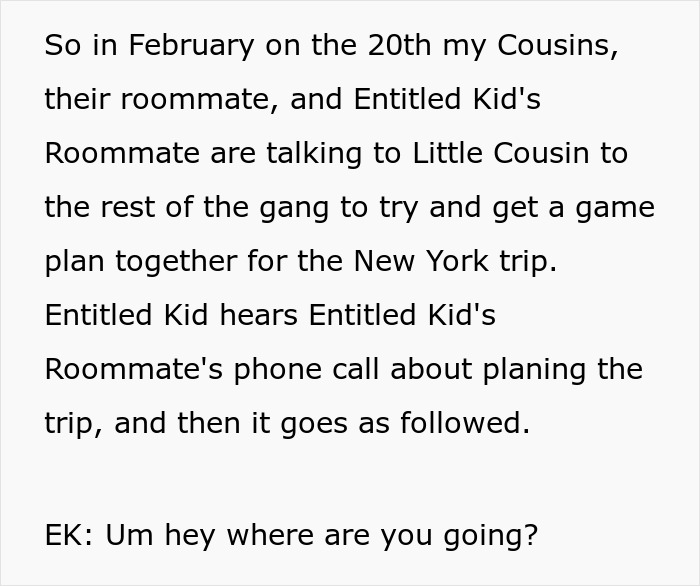 Text about cousins and roommates planning a New York trip excluding Entitled Kid