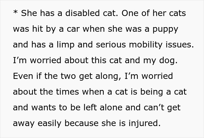 Woman Declines Friend’s Year-Long Cat-Sitting Request, Then Learns She Had Another Option All Along Woman Declines Friend’s Year-Long Cat-Sitting Request, Then Learns She Had Another Option All Along