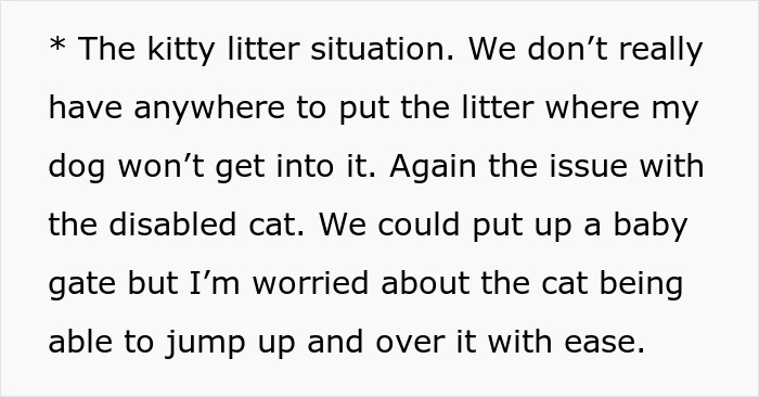 Woman Declines Friend’s Year-Long Cat-Sitting Request, Then Learns She Had Another Option All Along Woman Declines Friend’s Year-Long Cat-Sitting Request, Then Learns She Had Another Option All Along