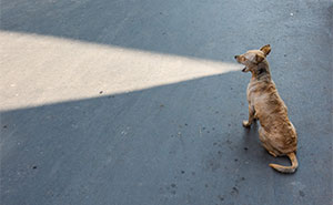 These 23 Street Photos Won The 2026 Macadam Awards’ Attention By Catching The Unexpected