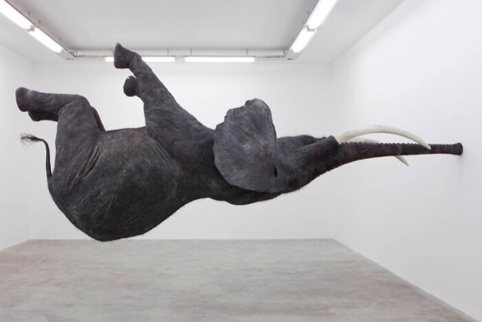 A large elephant sculpture appearing to float horizontally in a white room, creating a baffling image that makes no physical sense.