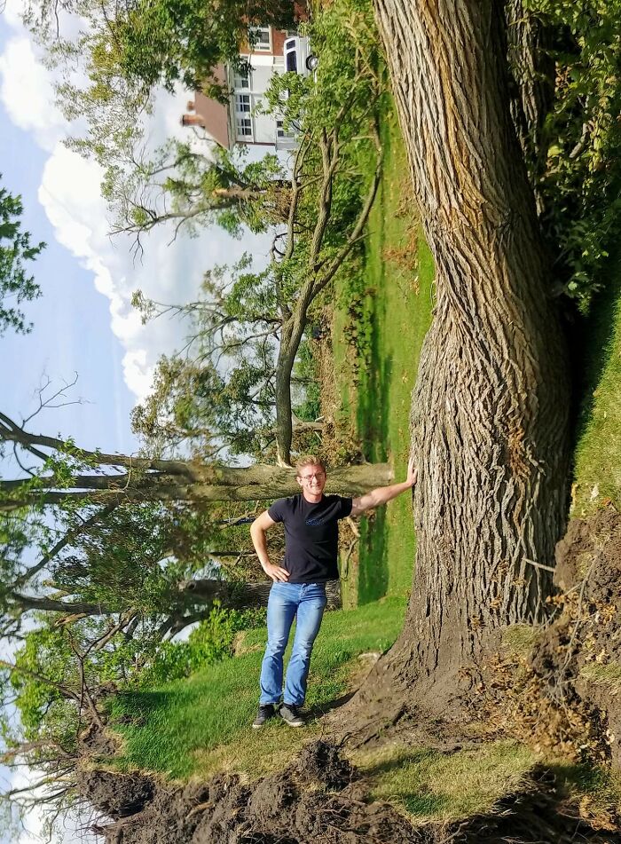 A man standing next to a massive fallen tree, captured in a baffling image.