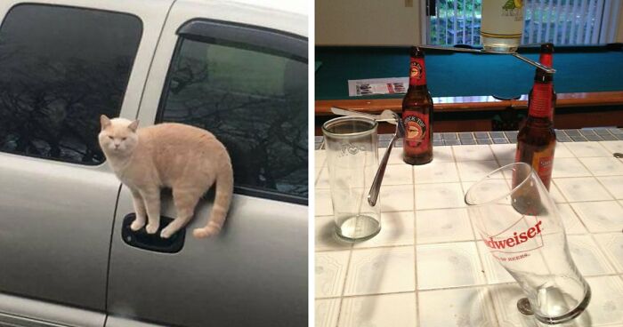 69 Baffling Images That Seem To Make Absolutely No Physical Sense