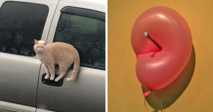 69 Baffling Images That Seem To Make Absolutely No Physical Sense