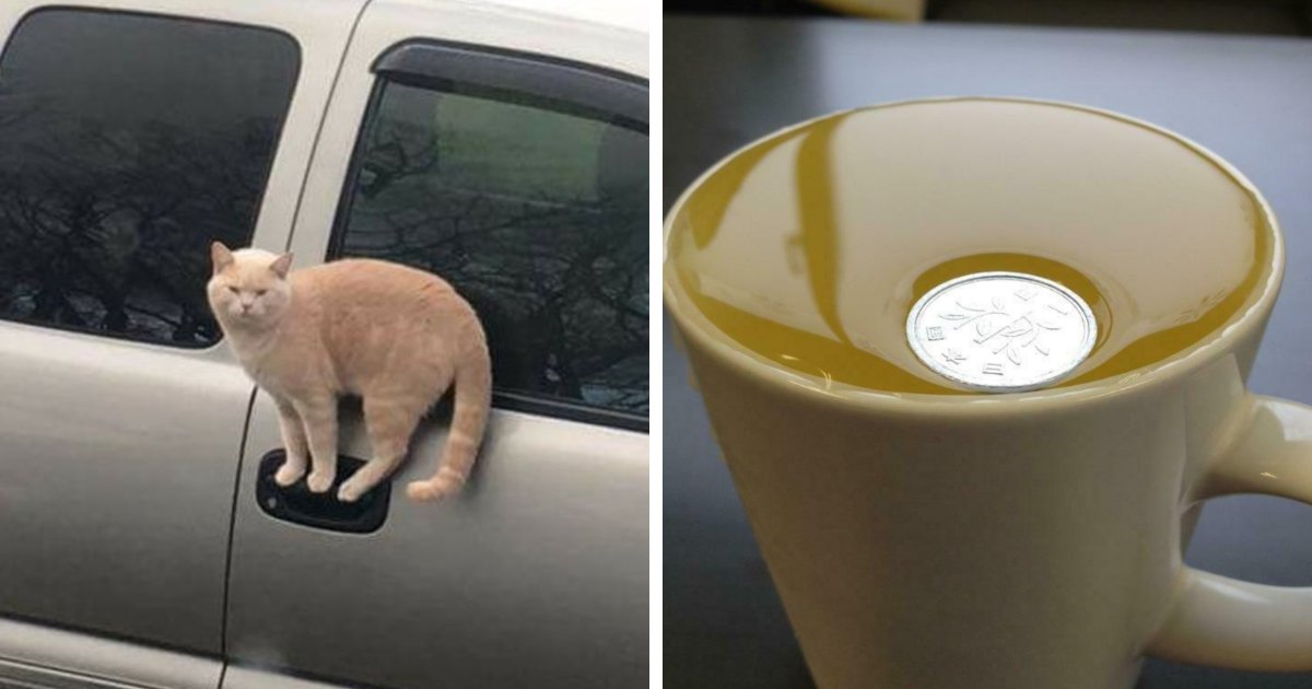 69 Things That Look So Impossible You'll Probably Need A Second Look
