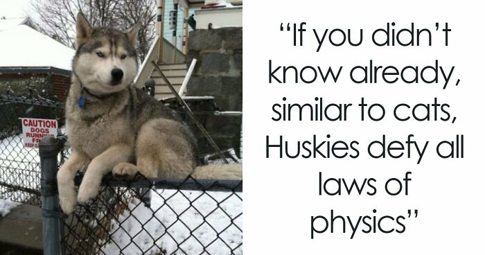 69 Baffling Images That Seem To Make Absolutely No Physical Sense