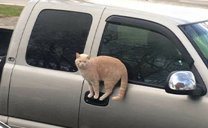 69 Baffling Images That Seem To Make Absolutely No Physical Sense