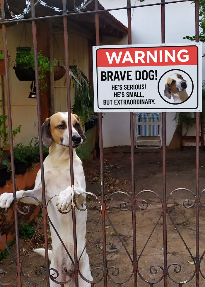 40 Adorable Animal Pics For Anyone Who Needs A Little Break From The Stress Of Everyday Life