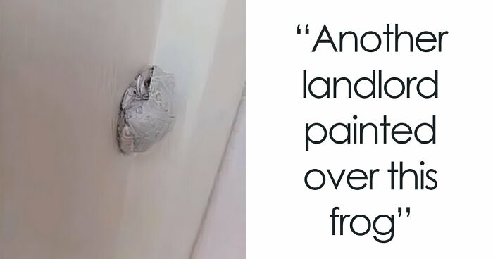 75 Renting And Booking Experiences That Had People Regretting Their Decision Almost Immediately