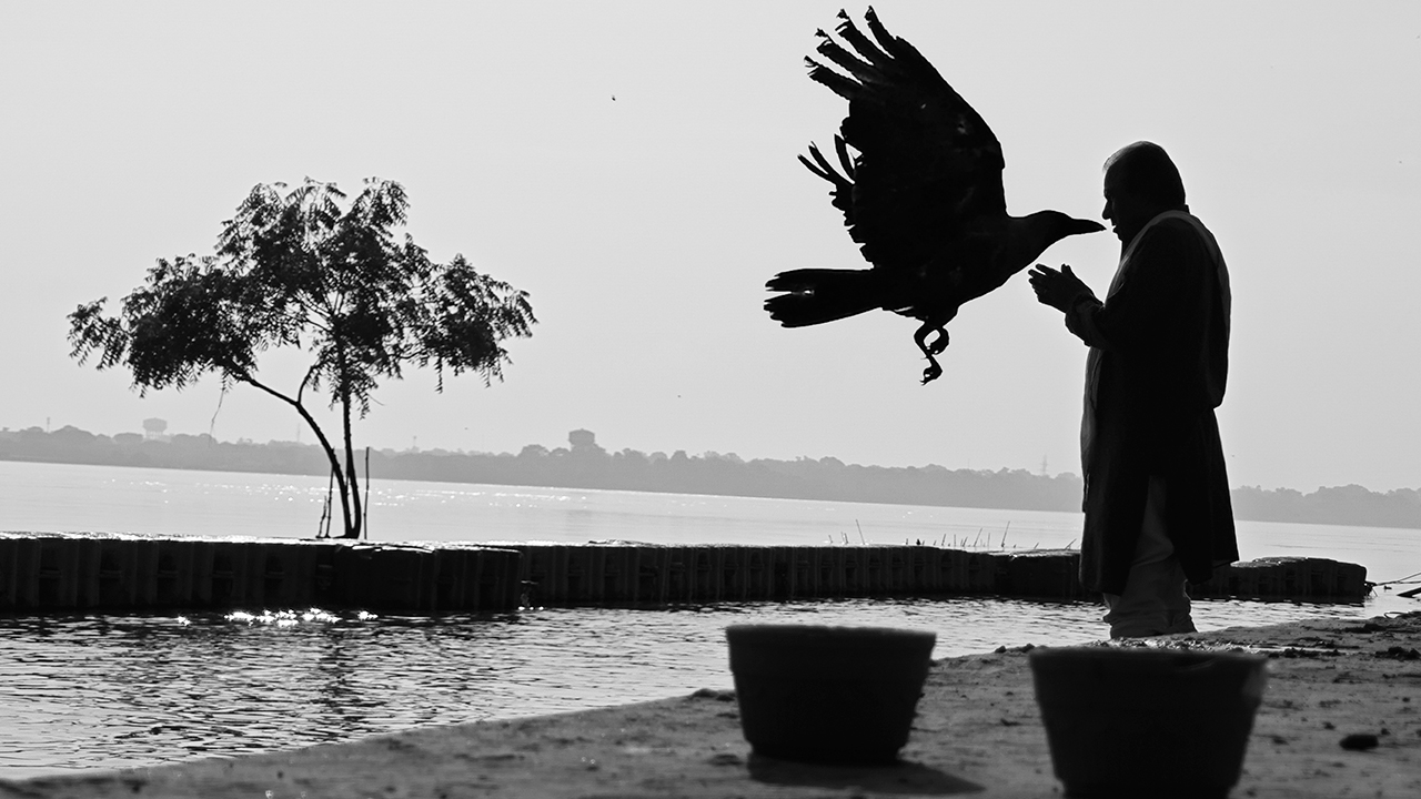 66 Visual Proofs That Perfect Timing Beats Expensive Gear Every Time By Divyanshu Verma