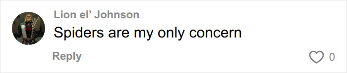 A comment about spider fears on a post about buying a ghost town. A comment about spider fears on a post about buying a ghost town.