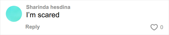 An online comment showing fear about buying a ghost town. An online comment showing fear about buying a ghost town.