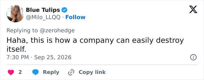 Tweet about a company easily destroying itself linked to Corgi