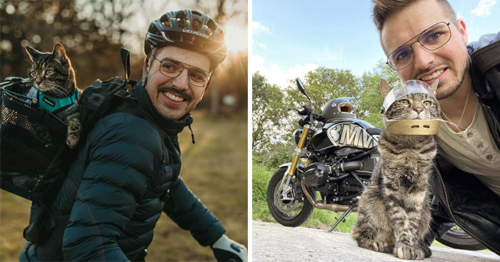 This Adventure Cat Has Spent Years Traveling And Exploring With Her Favorite Human (33 New Pics)
