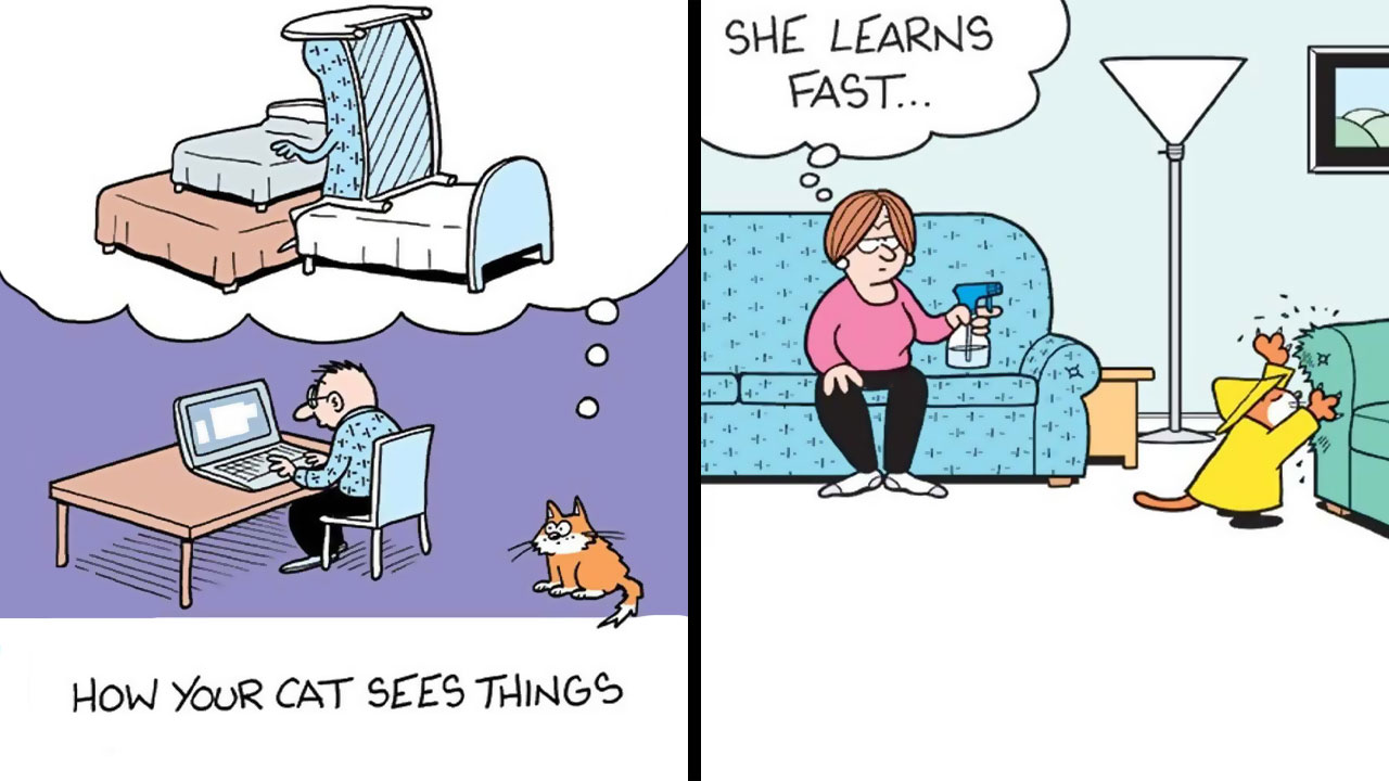 29 New Comics By Mark Parisi That Capture The Odd Little Habits Every Cat Owner Knows