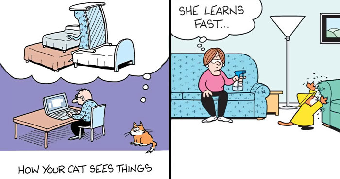 29 New Comics By This Artist About The Strange Reality Of Living With Cats