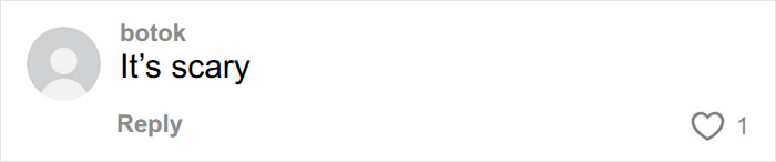 A comment on predictions from Chinese Nostradamus, stating it's scary, and implying a peaceful 2027 is unlikely.