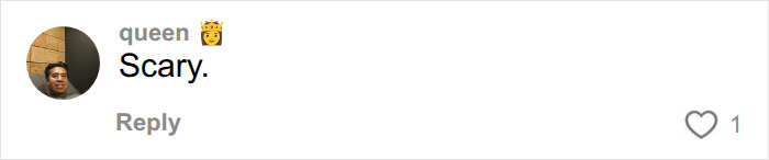 A comment on predictions for 2027 by a user named queen, with a crown emoji, stating "Scary." in response to the Chinese Nostradamus.