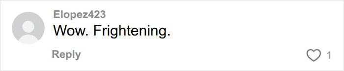 A comment from Elopez423 saying Wow. Frightening. reflecting concern about Chinese Nostradamus predictions for 2027.