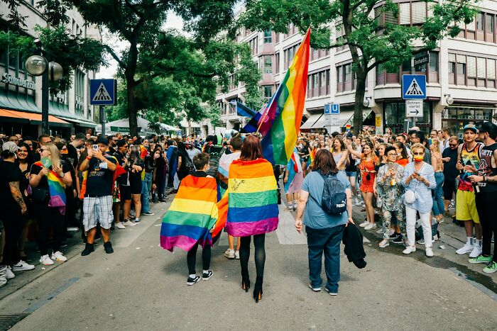 A group of people at a pride parade, with some wearing rainbow flags. This showcases stupid things people said.