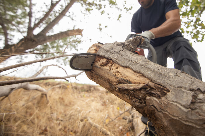 A man using a chainsaw to cut a log, a satisfying story of correcting a landscaping mistake.