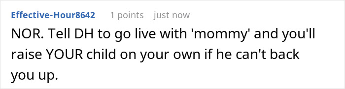 Reddit comment advises mom to raise her child alone if husband won't back her up against MIL babysitting issues. Reddit comment advises mom to raise her child alone if husband won't back her up against MIL babysitting issues.