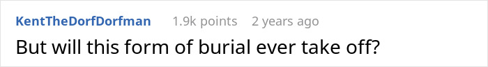 A screenshot of a Reddit comment, a pun about burial taking off at an airport built around graves. airport graves. A screenshot of a Reddit comment, a pun about burial taking off at an airport built around graves. airport graves.