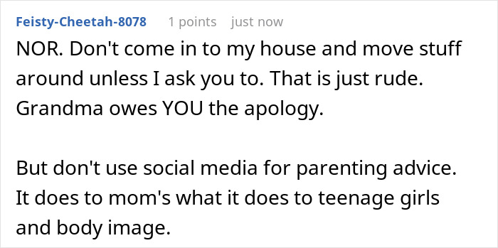 Online user comment criticizing a MIL for moving things in the nursery and offering parenting advice. Online user comment criticizing a MIL for moving things in the nursery and offering parenting advice.