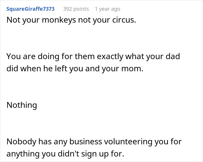 A Reddit comment from SquareGiraffe7373 stating Not your monkeys not your circus regarding half-siblings and foster care.