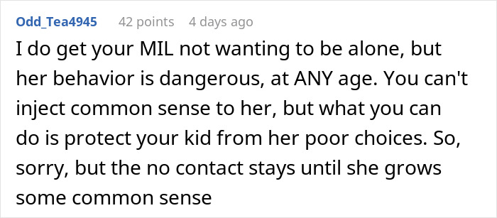 A Reddit comment emphasizing the importance of protecting grandkids and keeping MIL cut off. A Reddit comment emphasizing the importance of protecting grandkids and keeping MIL cut off.
