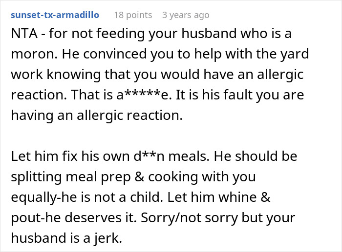 A screenshot showing a comment from Reddit user sunset-tx-armadillo, discussing the woman's husband who pressures her to rake despite her allergy.