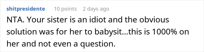 Comment states sister should babysit kids, not auction off