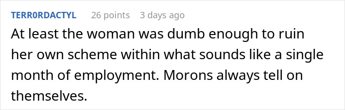 User comment criticizing the boss after a nanny finds an AirTag hidden on her vehicle.