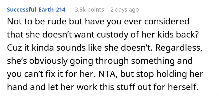 A Reddit comment asking if the daughter truly wants her kids back, given her choice of toxic boyfriend. A Reddit comment asking if the daughter truly wants her kids back, given her choice of toxic boyfriend.